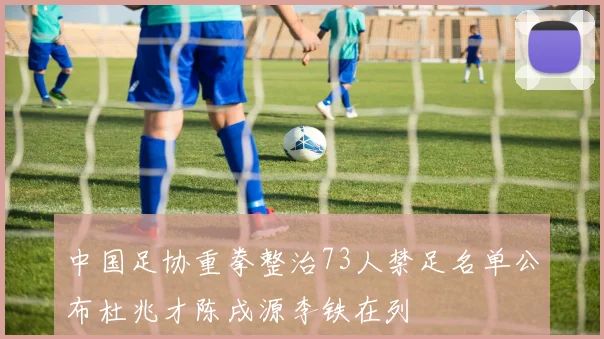 中国足协重拳整治73人禁足名单公布杜兆才陈戌源李铁在列