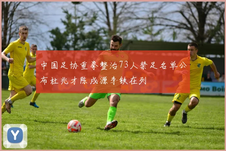 中国足协重拳整治73人禁足名单公布杜兆才陈戌源李铁在列