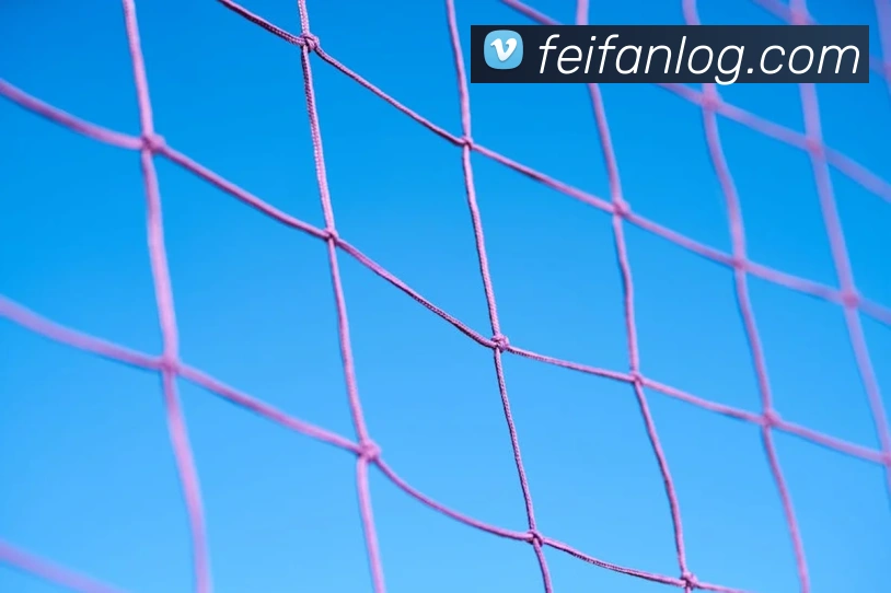 非凡体育品牌故事